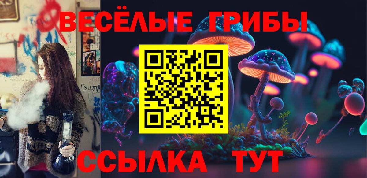 Псилоцибиновые грибы мухоморы Строитель